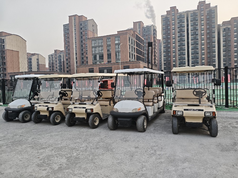 电动观光车租赁​